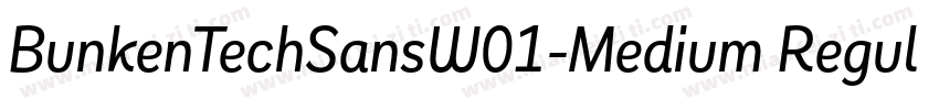 BunkenTechSansW01-Medium Regular字体转换